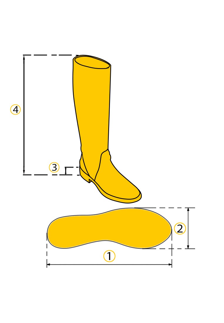 Чоботи шкіряні жіночі