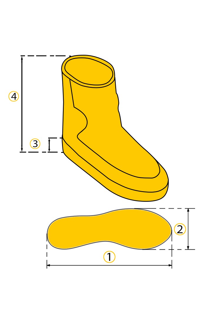 Місяцеходи жіночі